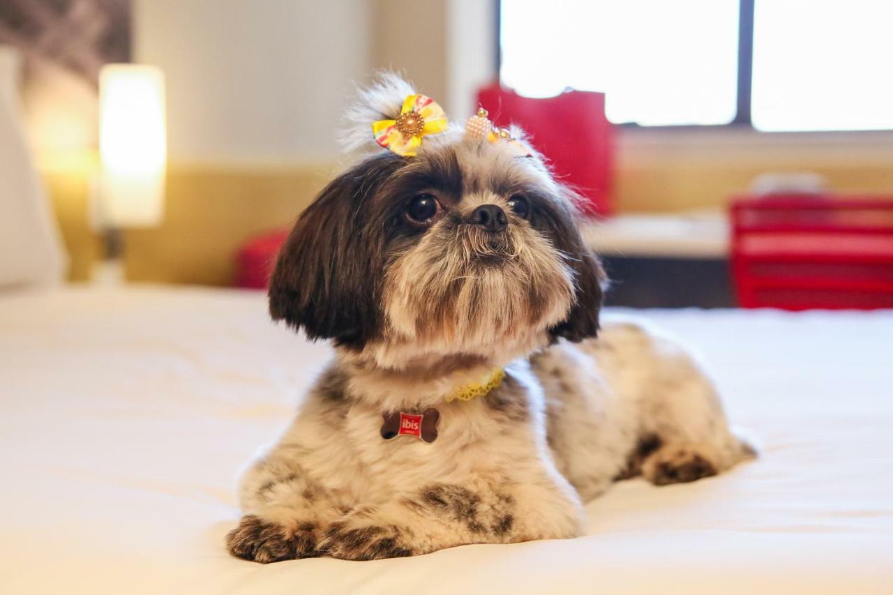 Ibis Maringa Hotel ภายนอก รูปภาพ